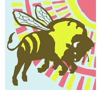 The Format - B-Sides And Rarities [Vinilo]