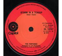 The Fortunes - Storm In A Teacup