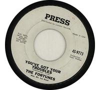 The Fortunes - You've Got Your Troubles