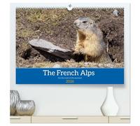 The French Alps, on the trail of the marmot (High Quality Premium Wall Calendar 2026 DIN A2 landscape),CALVENDO 12 Month Wall Calendar: The marmot's waking environment