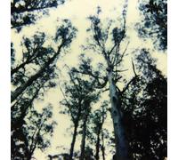 The Frightening Lights - The Frightening Lights [VINYL] [Vinilo]