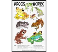 The Frogs of Borneo Notebook: The Perfect Funny Note for Parents A 6x9 Blank Lined Journal (110 Pages) to Write, Plan, and Laugh