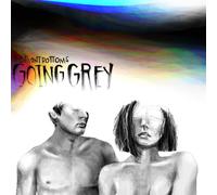 The Front Bottoms Going Grey (CD) Album