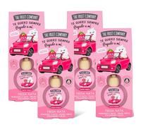 The Fruit Company - Ambientador de coche con Absorbe olores, aroma frutal FRESA NATA, Pack de 4 unidades