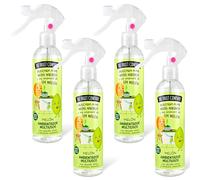The Fruit Company - Ambientador Spray, Melón, Pack de 4 Unidades de 250ml (1000ml)