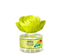The Fruit Company Flor Perfumada Melón | Precio, Comprar