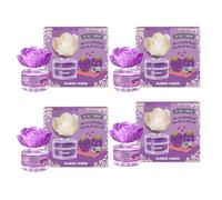 The Fruit Company Flor Perfumada Moras Pack 4 uds - Ambientador Decorativo de 50 ml con Aroma Dulce y Frutal - Larga Duración - Ideal para Hogar, Oficina o Regalo Original