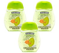 The Fruit Company Gel Limpiador De Manos MELÓN Pack 3 uds de 45ml 70% Alcohol con Aloe Vera Formato Bolsillo