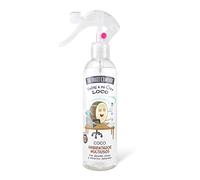 The Fruit Company Spray Ambientador Coco Multiusos | Precio, Comprar