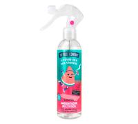The Fruit Company Spray Ambientador Sandía Multiusos | Precio, Comprar