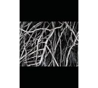 The Fun Side of Discipline: Surprising Facts About Motivation and Self-Control