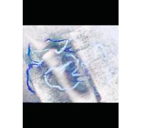 The Fundamental Structure of Number From the Perspective of Holism: Through the Mirror of Dualism (Ontic Light)