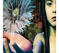 The Future Sound of London Lifeforms (CD) Album