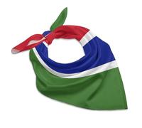 The Gambia Flag Soft Imitated Silk Neck Scarf Multi-Purpose Head Hair Wrap Wrist Handkerchief Bag Decor Kerchief For Daily Wear(18"x18")