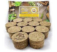 The Garden Gecko Pies Invisibles para macetas y Flores al Aire Libre, Corcho prensado Macizo, platillos Grandes para macetas de Grano | Paquete de 24 | Corcho