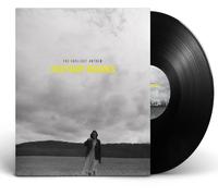 The Gaslight Anthem History Books (Vinyl)