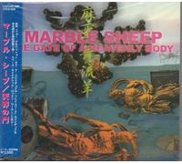 THE GATE OF A HEAVENLY BODY