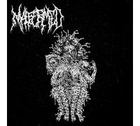 The Gathering of Souls [Vinilo]