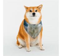 The Gaze Of A Polar Bear - Bandanas para perros pequeños, medianos y grandes, suaves y cómodas para niños y niñas, ideal para mascotas