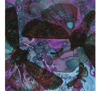 The Gentle Good - Y Gwyfyn [Vinilo]