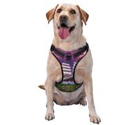 The Giant Wheel Under Lightning - Arnés para perro, equipado con correas reflectantes para mascotas y hebillas de liberación rápida, adecuado para todo tipo de perros