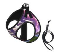 The Giant Wheel Under Lightning - Arnés para perro, equipado con correas reflectantes y hebillas de liberación rápida, adecuado para gatos y perros pequeños