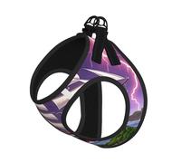 The Giant Wheel Under Lightning - Arnés para perro, equipado con correas reflectantes y hebillas de liberación rápida, adecuado para gatos y perros pequeños