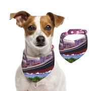 The Giant Wheel Under Lightning - Bandana para perros pequeños, medianos y grandes, gatos, perros, pañuelo triangular para niña o niño