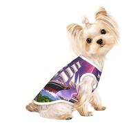 The Giant Wheel Under Lightning - Camisa para perro pequeño, suave y transpirable, para perros, gatos, niños, niñas, mascotas, adecuada para mascotas pequeñas
