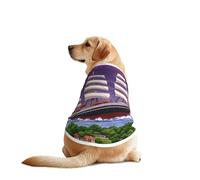 The Giant Wheel Under Lightning - Camiseta de malla transpirable para perros grandes y medianos, perfecta para el uso diario y ocasiones especiales