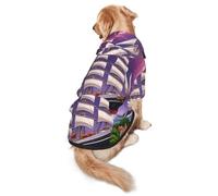 The Giant Wheel Under Lightning - Sudadera con capucha para perro, ropa de poliéster suave y transpirable para perros medianos y grandes