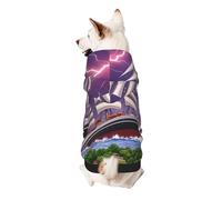 The Giant Wheel Under Lightning - Sudadera con capucha para perro, ropa de poliéster suave y transpirable para perros pequeños, medianos y grandes