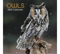 The Gifted Stationary - Calendario de pared cuadrado 2026, búhos, calendario colgante con temática de animales de 16 meses con 180 calcomanías recordatorias, planificador mensual para el hogar