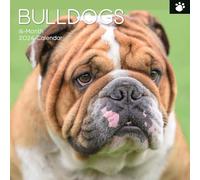 The Gifted Stationary - Calendario de pared cuadrado 2026, bulldogs, calendario colgante con temática de animales de 16 meses con 180 calcomanías recordatorias, planificador mensual para el hogar o