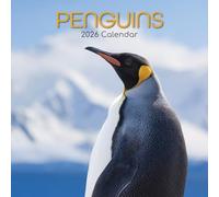 The Gifted Stationary - Calendario de pared cuadrado 2026, diseño de pingüinos, calendario colgante de 16 meses con 180 calcomanías recordatorias, planificador mensual para espacios creativos, 12 x 12