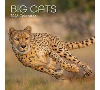 The Gifted Stationary - Calendario de pared cuadrado 2026, gatos grandes, calendario colgante con temática de animales de 16 meses con 180 calcomanías recordatorias, planificador mensual para el hogar
