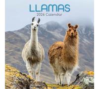 The Gifted Stationary - Calendario de pared cuadrado 2026, llamas, calendario colgante con temática de animales de 16 meses con 180 calcomanías recordatorias, planificador mensual para el hogar