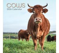 The Gifted Stationary - Calendario de pared cuadrado 2026, vacas, calendario colgante con temática de animales de 16 meses con 180 calcomanías recordatorias, planificador mensual para el hogar o
