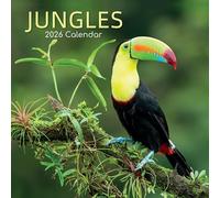 The Gifted Stationery Calendario de pared cuadrado de la selva 2026, cobertura de 16 meses y calendario de 16 meses, 180 calcomanías recordatorias y planificador de pared 2026, 12 x 12 pulgadas