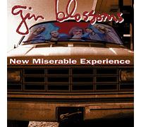 Gin Blossoms - New Miserable Experience (LP)