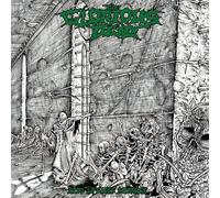 The glorious dead - Into lifeless shrines [Vinilo]