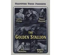 The Golden Stallion [USA] [DVD]
