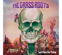 The Grass Roots - Let's Live For Today