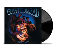 The Grateful Dead Built to Last (Vinyl) 12" Album
