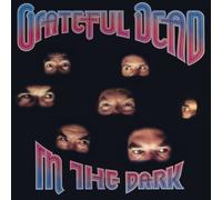 Grateful Dead – In the Dark – LP plateado (Vinilo) – Rhino