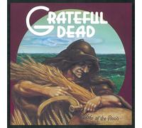 The Grateful Dead Wake of the Flood (Vinyl) (Importación USA)