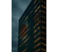 The Gray Vortex: Twenty Years of Power Games and Endless Internal Conflict Inside a Japanese Firm in China