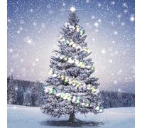 The Great British Card Company - Tarjetas de Navidad benéficas con diseño de árbol de Navidad en la nieve, ecológicas y reciclables, paquete de 10 tarjetas