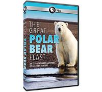 The Great Polar Bear Feast [USA] [DVD]