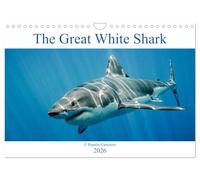 The Great White Shark: King of the Ocean (Wall Calendar 2026 DIN A4 landscape), CALVENDO 12 Month Wall Calendar: The great white shark: king of the ocean